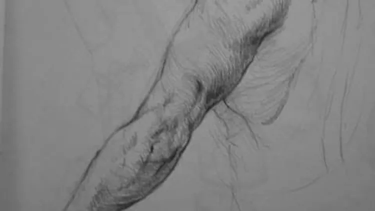 Charcoal Studies on Newsprint