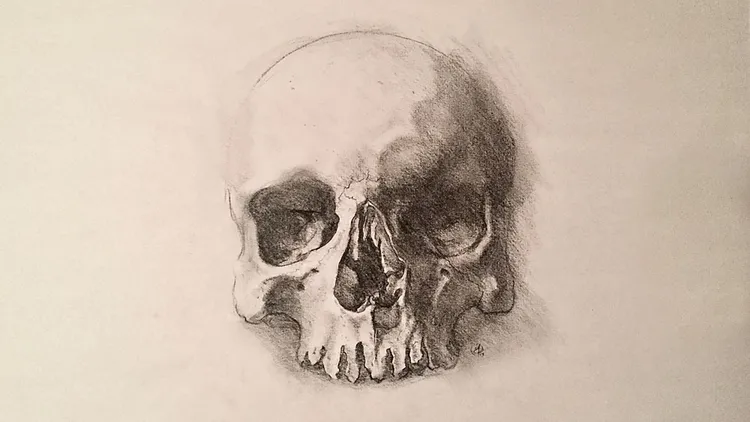 Should I go to art school?