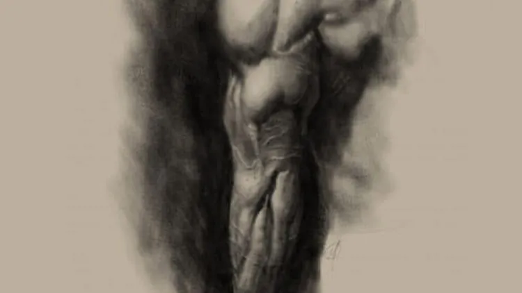 Studies