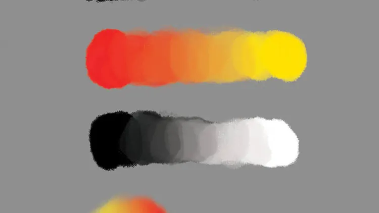 Oil on Canvas Brushes